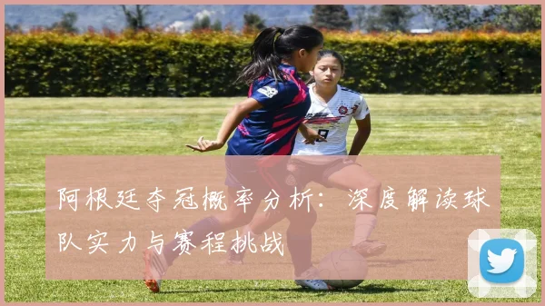 阿根廷夺冠概率分析：深度解读球队实力与赛程挑战
