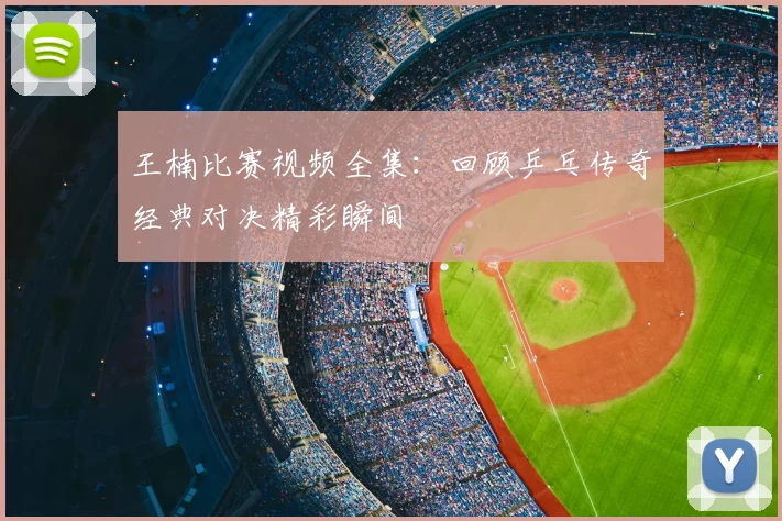 王楠比赛视频全集：回顾乒乓传奇经典对决精彩瞬间