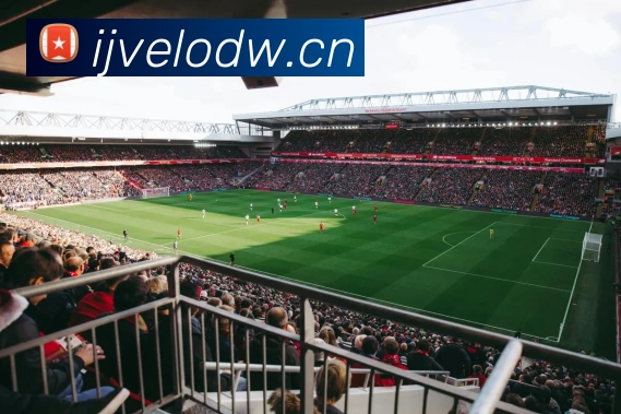 王楠比赛视频全集：回顾乒乓传奇经典对决精彩瞬间